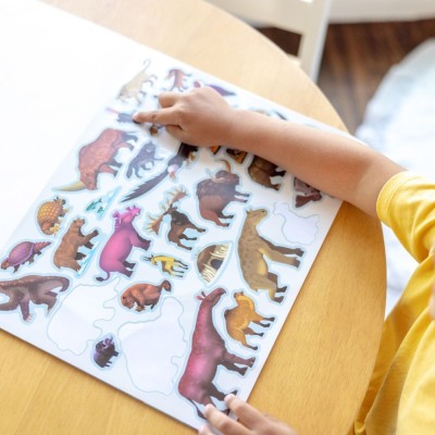 Zestaw z dinozaurami – 5 plansz i 185 naklejek wielokrotnego użytku – od 3 lat