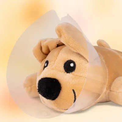 Zestaw Mały Weterynarz – piesek pluszowy, buda i akcesoria weterynaryjne