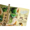 Fascynujace Dinozaury POP-UP XXL - David Hawcock - oprawa twarda