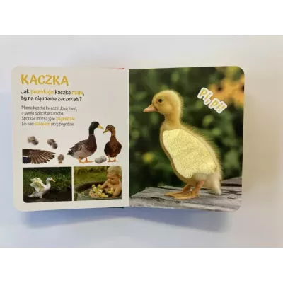 Książeczka sensoryczna z futerkami dla dzieci – Wiejskie Zwierzątka