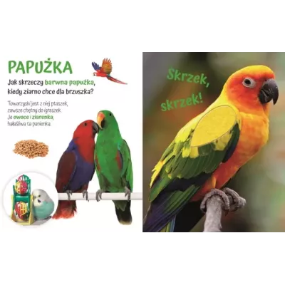Książeczka sensoryczna z futerkami dla dzieci – Przytulki