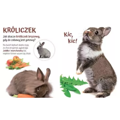 Książeczka sensoryczna z futerkami dla dzieci – Przytulki