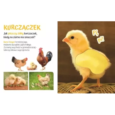 Książeczka sensoryczna z futerkami dla dzieci – Przytulki